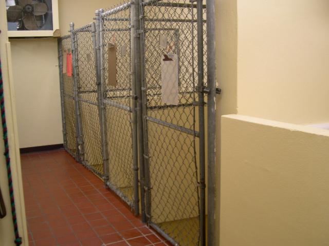 Middle Kennel - West Side