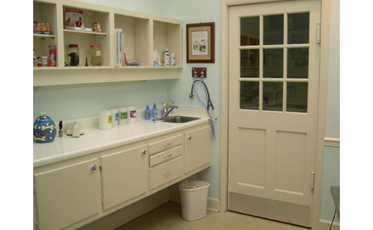 Our Lab