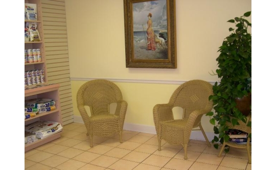 Our Waiting Area