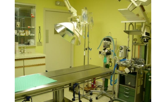 Our Surgical Suite